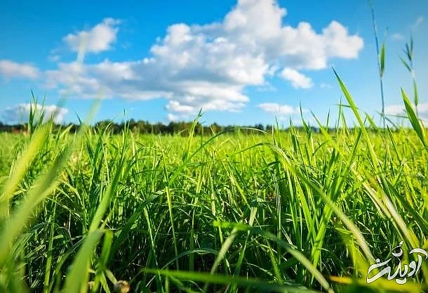 باورهای خرافی مردم